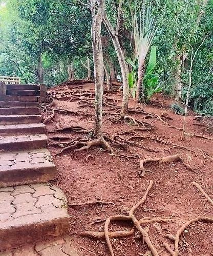 Nigela Housse Hotel Flic en Flac