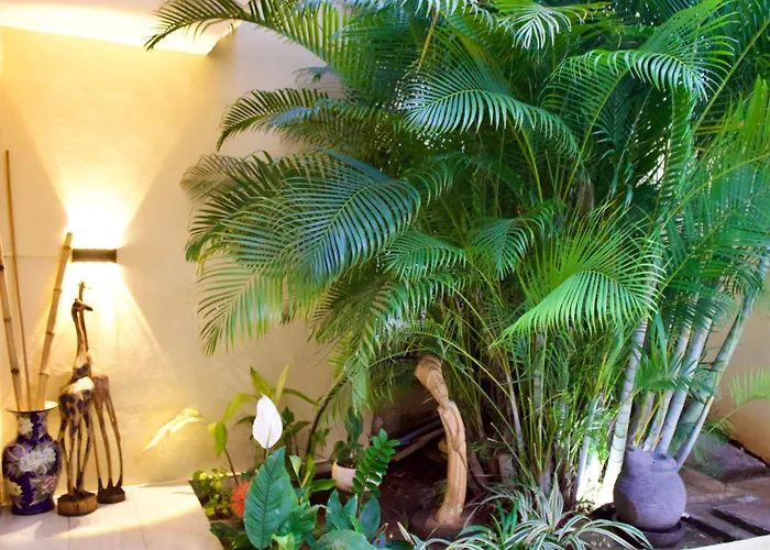 Pet friendly Manuel'S Apartment Port Louis