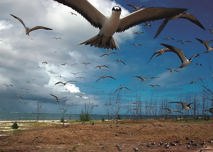 Hôtels à Centre de Île Rodrigues